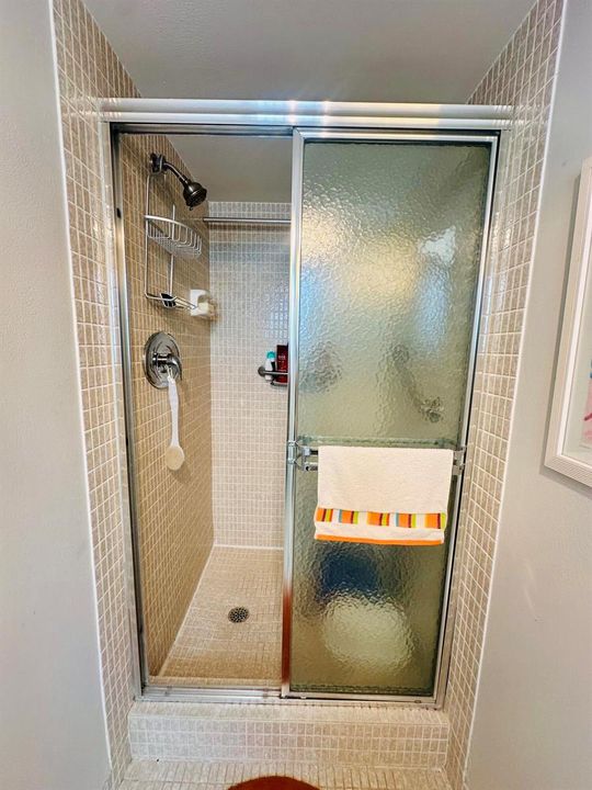 Guest Shower
