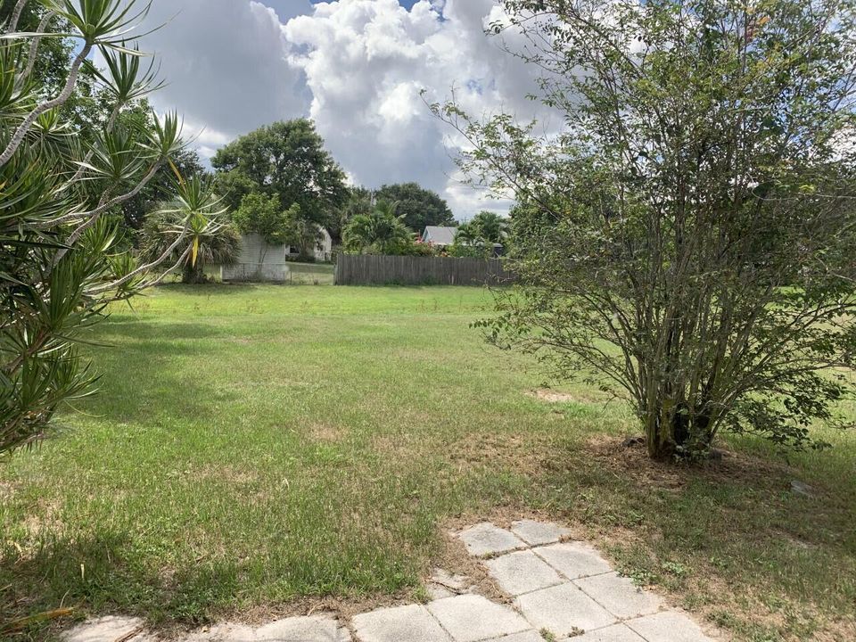 Backyard