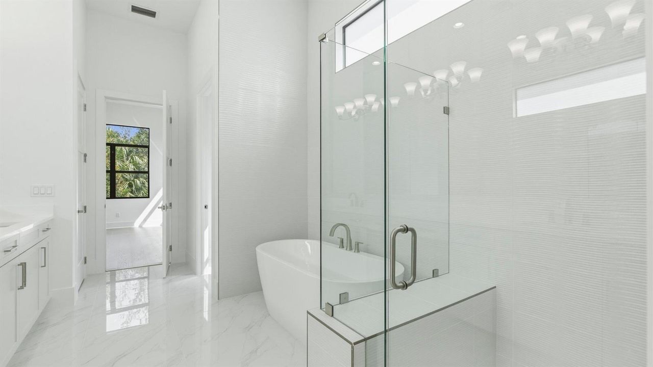 Owner's Bath