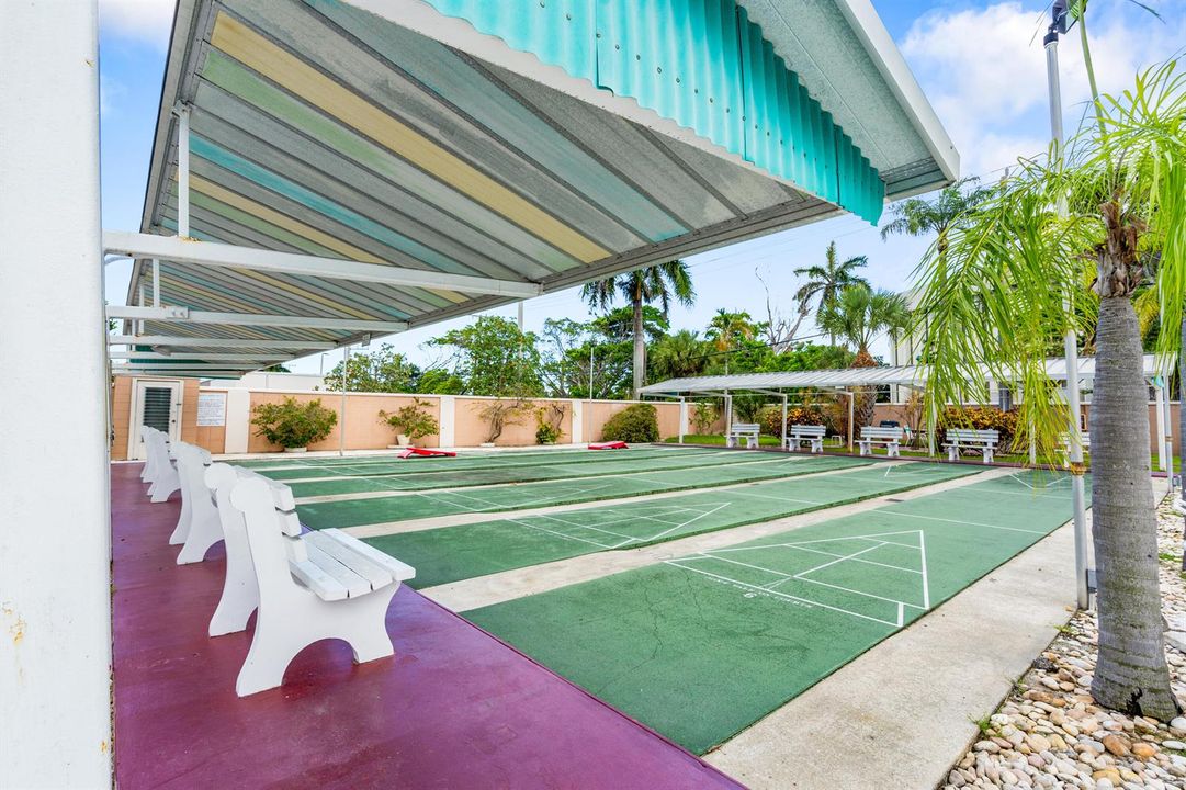 Shuffleboard