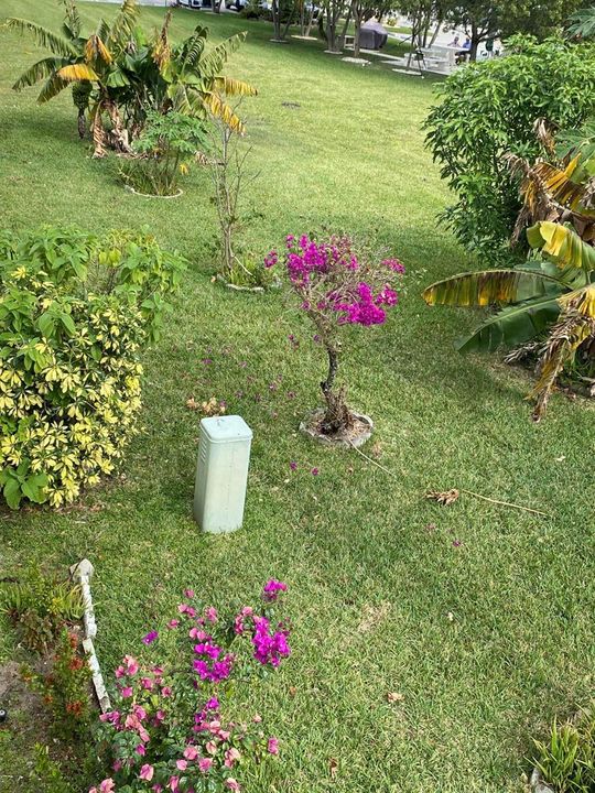 IMG-1018