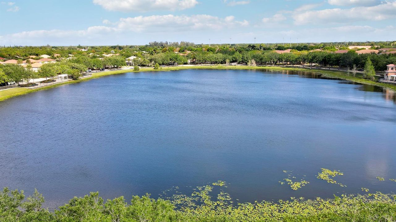 Walk around the beautiful pond