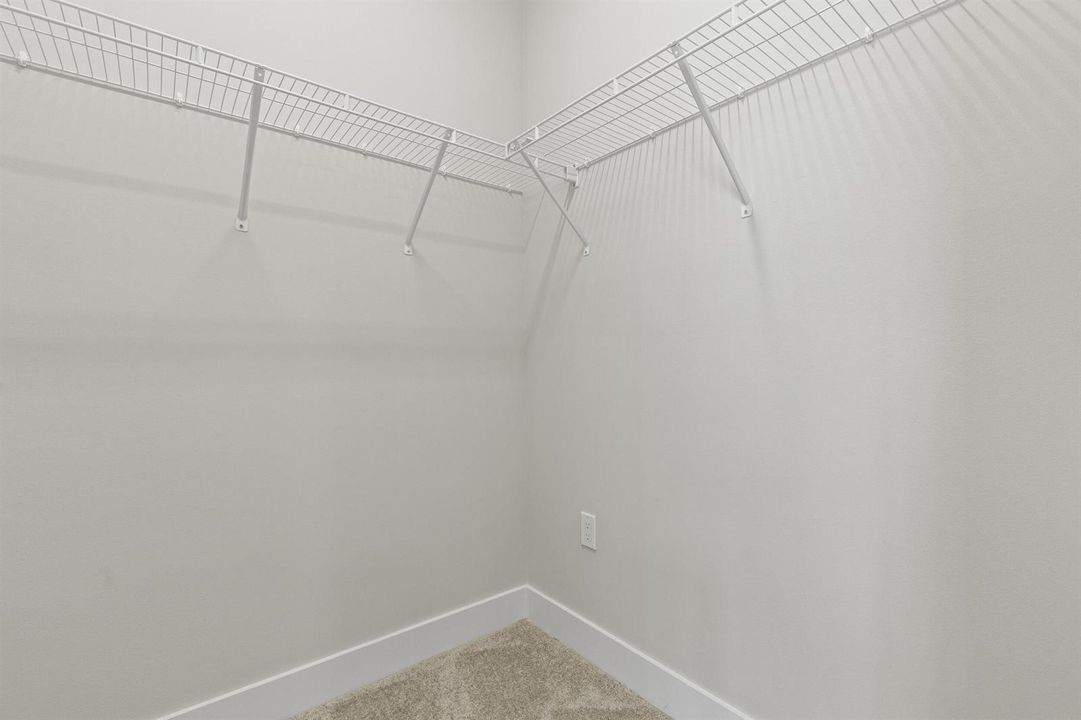 54_img_0287