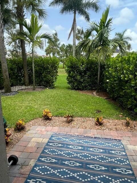Back Patio