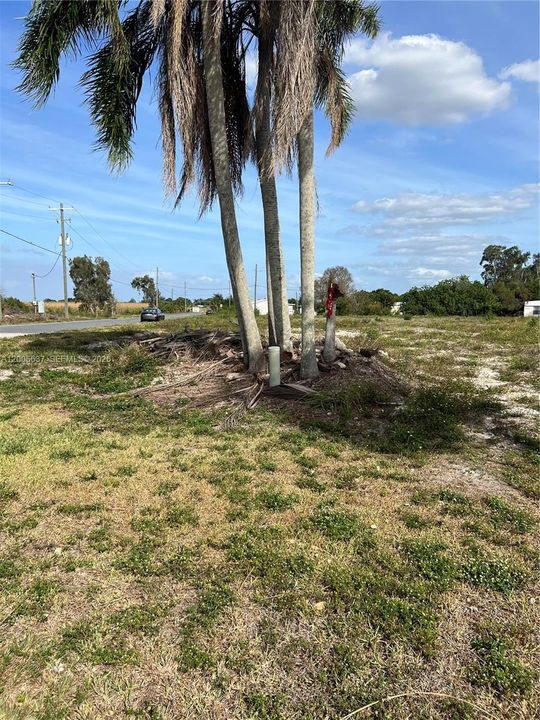 For Sale: $119,995 (0 beds, 0 baths, 0 Square Feet)