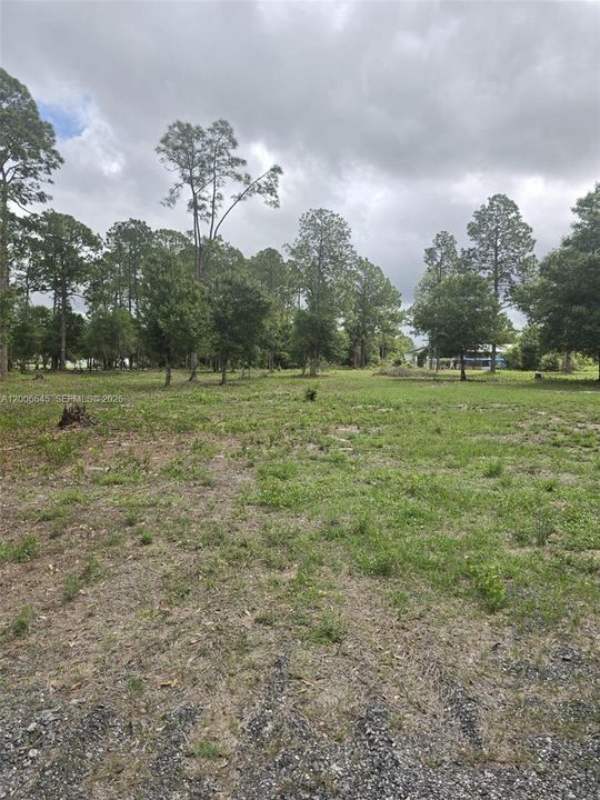 En Venta: $70,000 (1.25 acres)