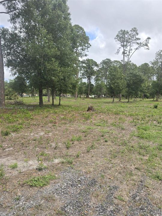 En Venta: $70,000 (1.25 acres)