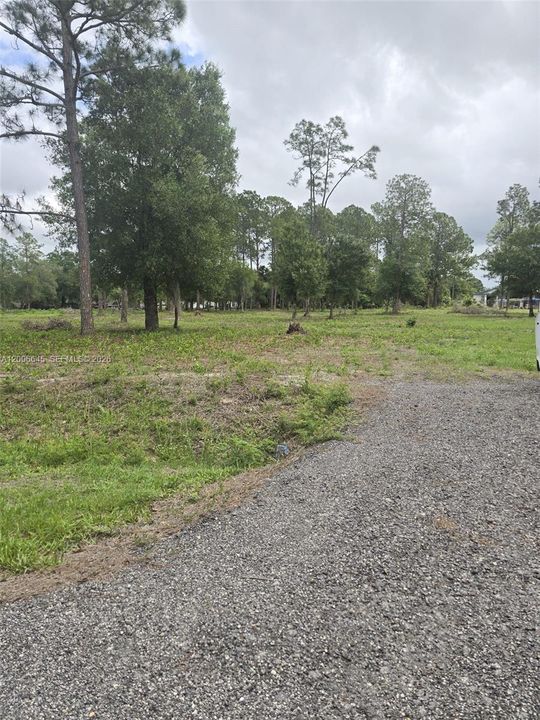 En Venta: $70,000 (1.25 acres)