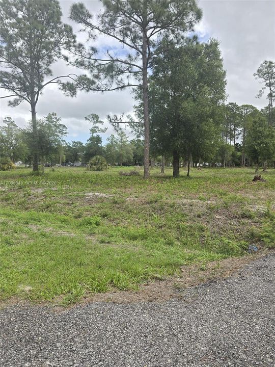 En Venta: $70,000 (1.25 acres)