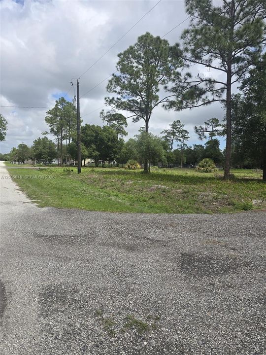 En Venta: $70,000 (1.25 acres)
