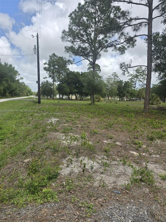 En Venta: $70,000 (1.25 acres)