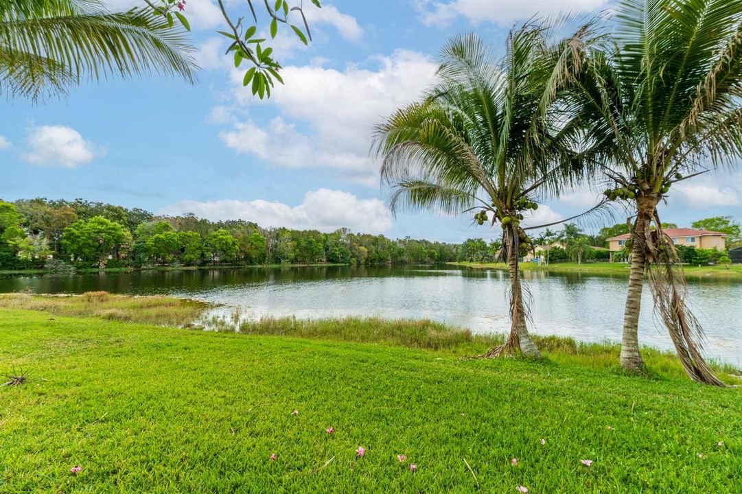 LAKE VIEW