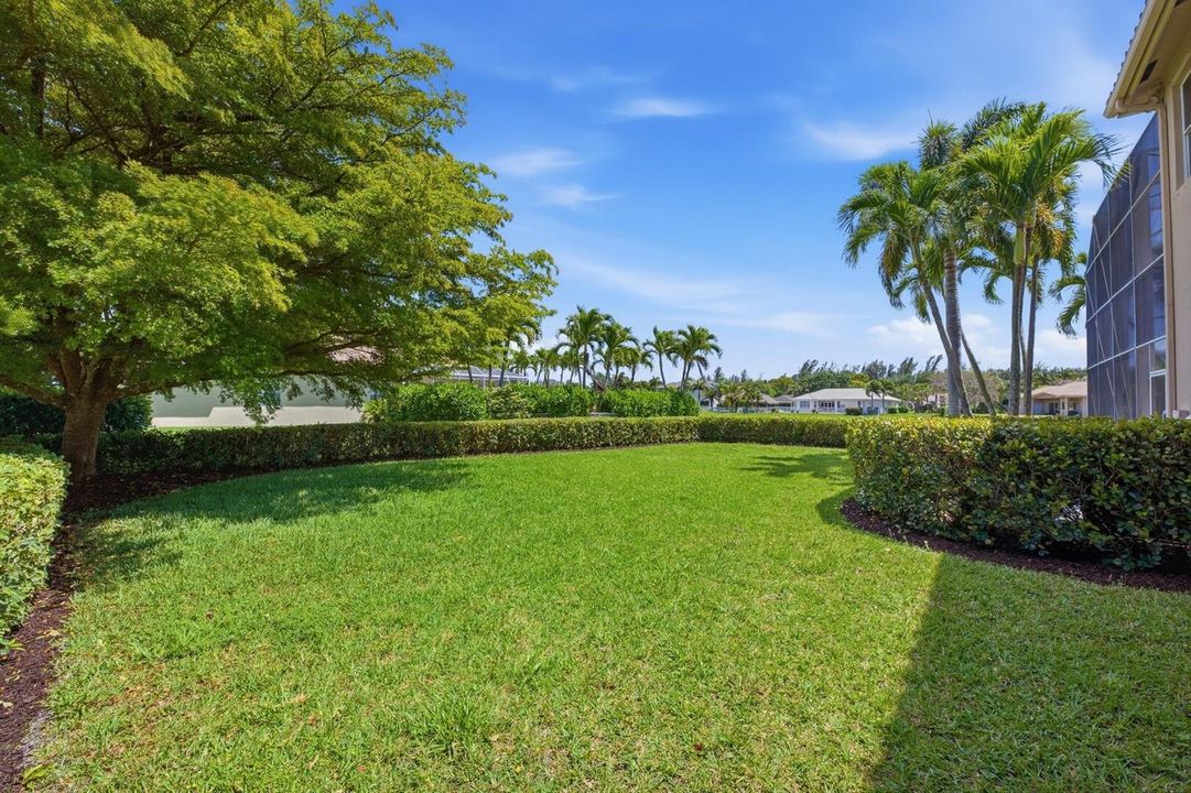 Side Yard