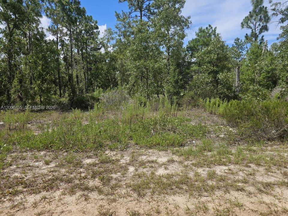待售: $7,800 (0.11 acres)