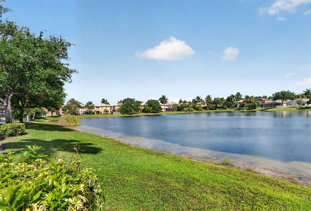 51-web-or-mls-DSC04894