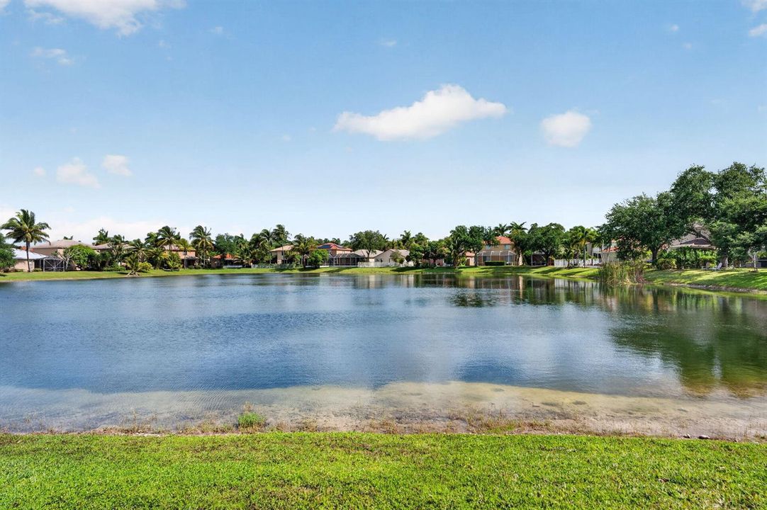 52-web-or-mls-DSC04899