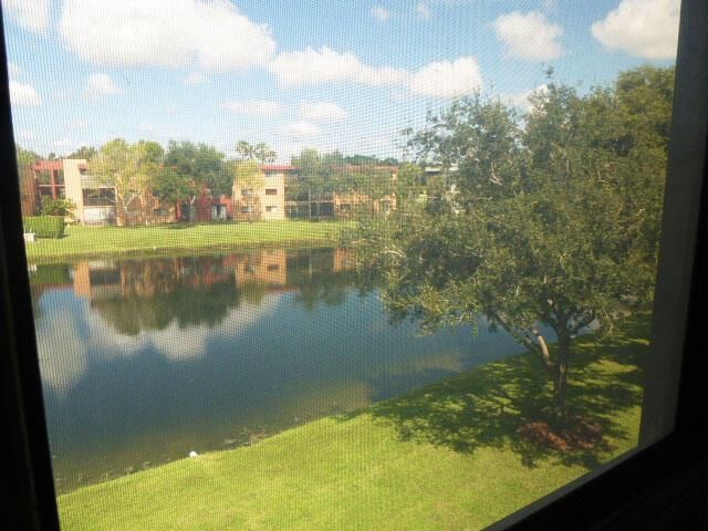 Patio View 2