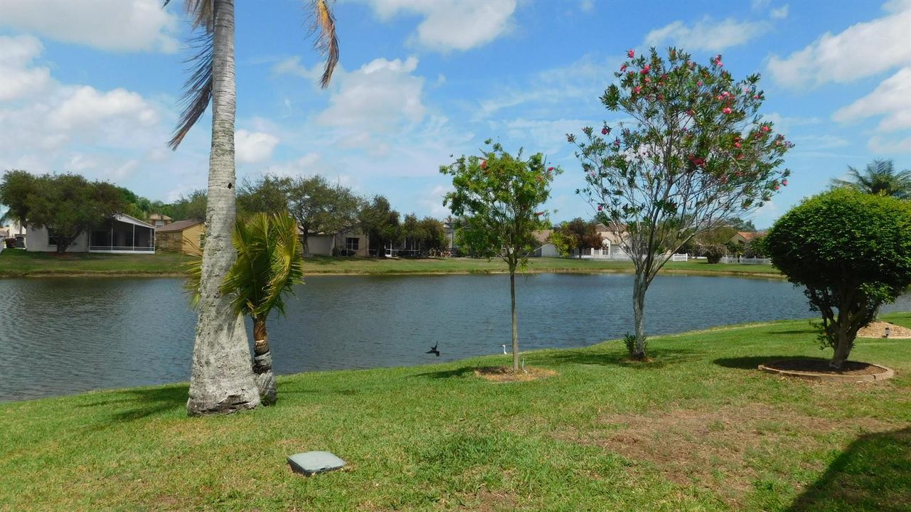 Water view
