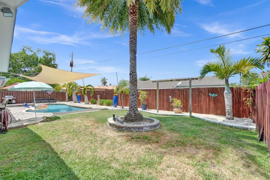 backyard 1