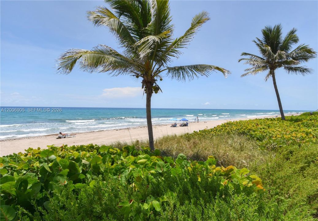 Ocean View