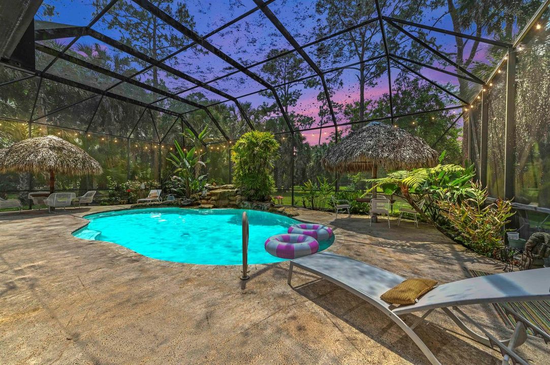 44 Swimming Pool 04