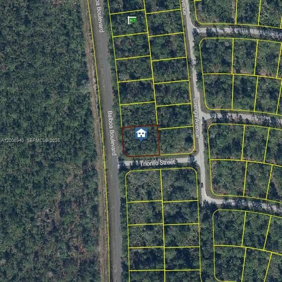 For Sale: $20,000 (0.30 acres)