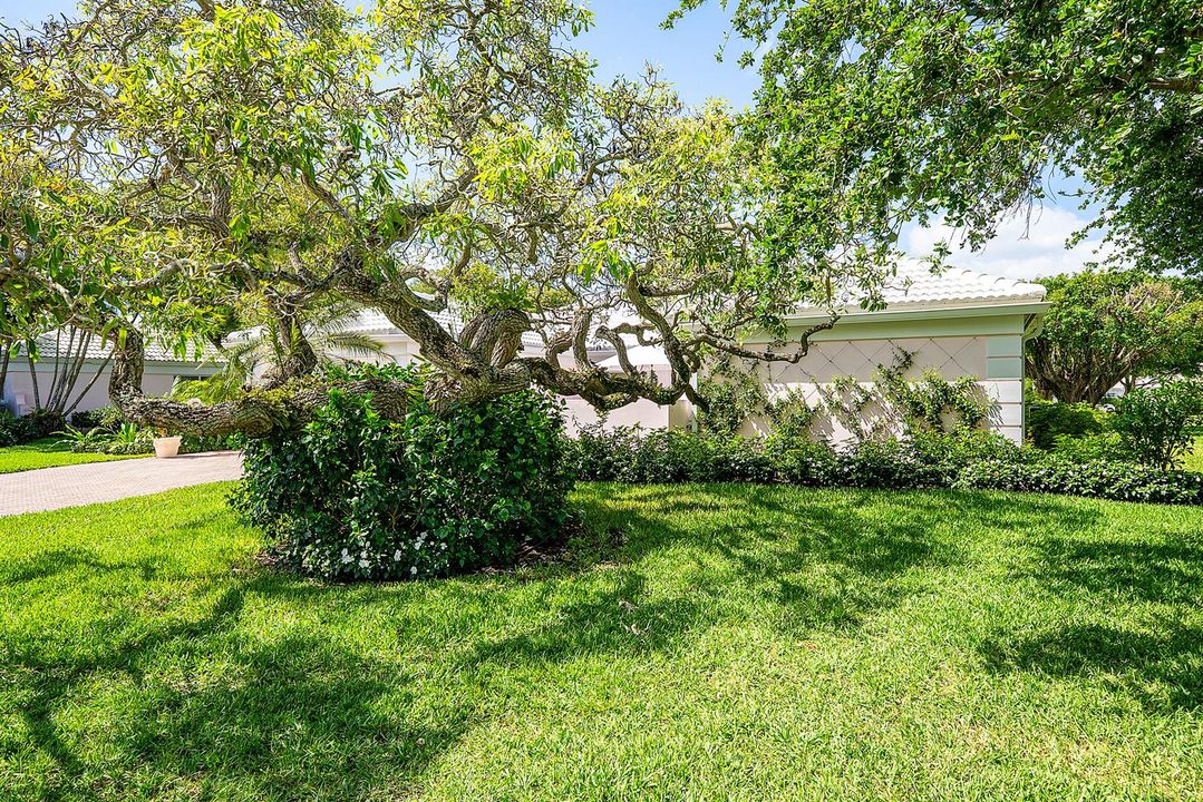 front yard