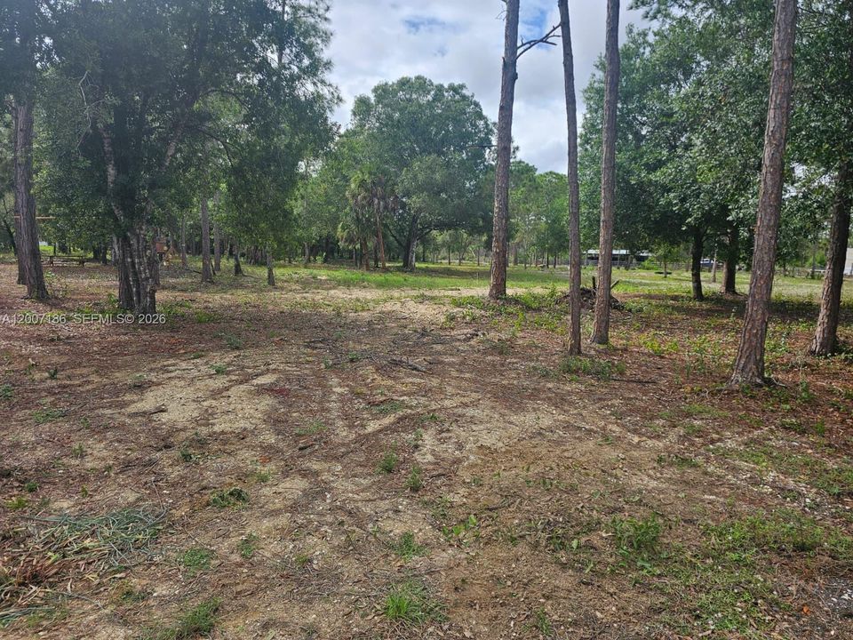 На продажу: $145,000 (2.50 acres)