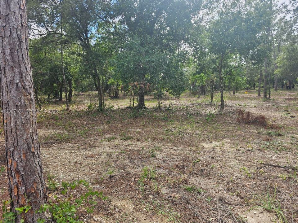 На продажу: $145,000 (2.50 acres)