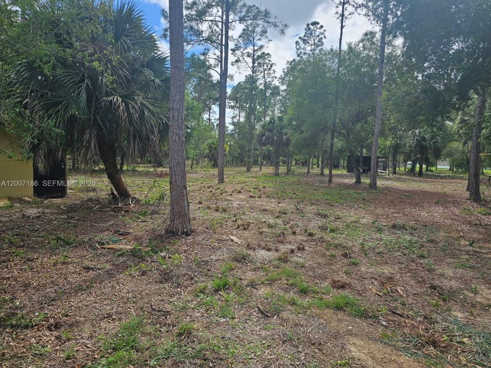 На продажу: $145,000 (2.50 acres)