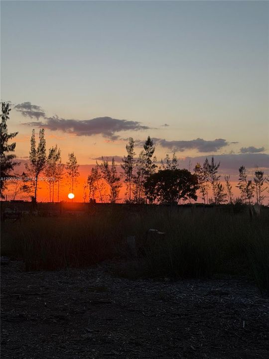 待售: $925,000 (5.00 acres)