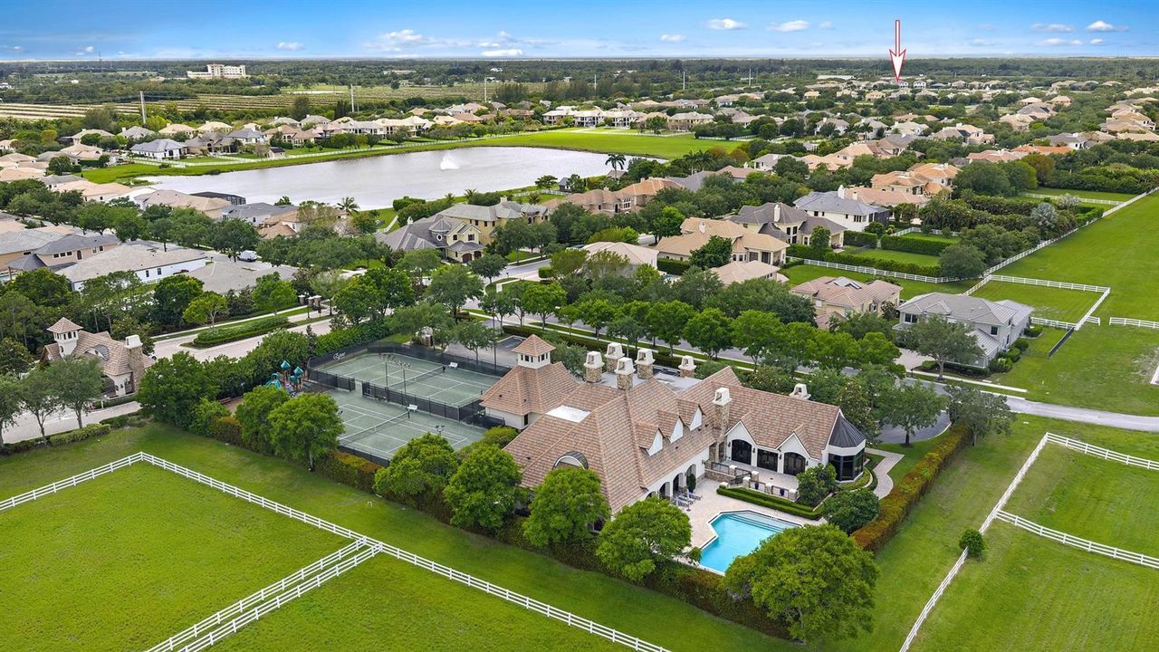 Aerial Estate Perspective
