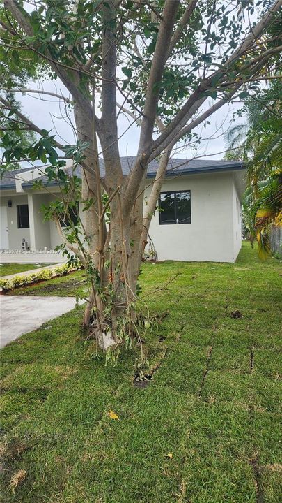 En Venta: $1,149,900 (0 camas, 0 baños, 3200 Pies cuadrados)
