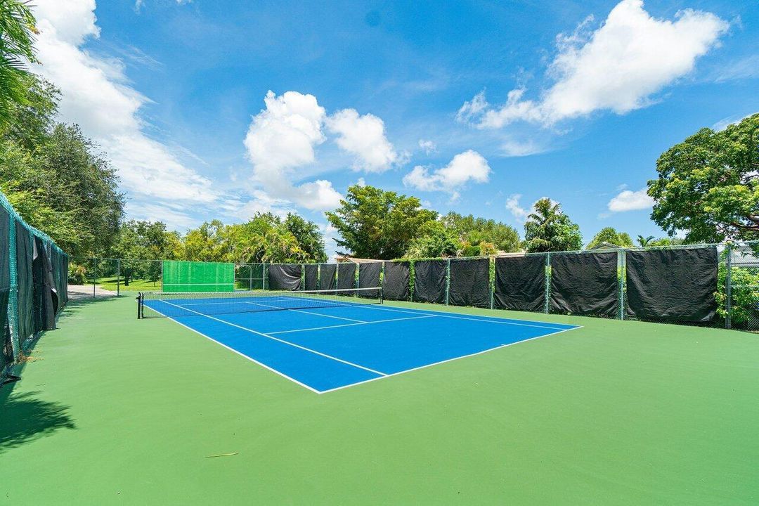 Tennis/pickle