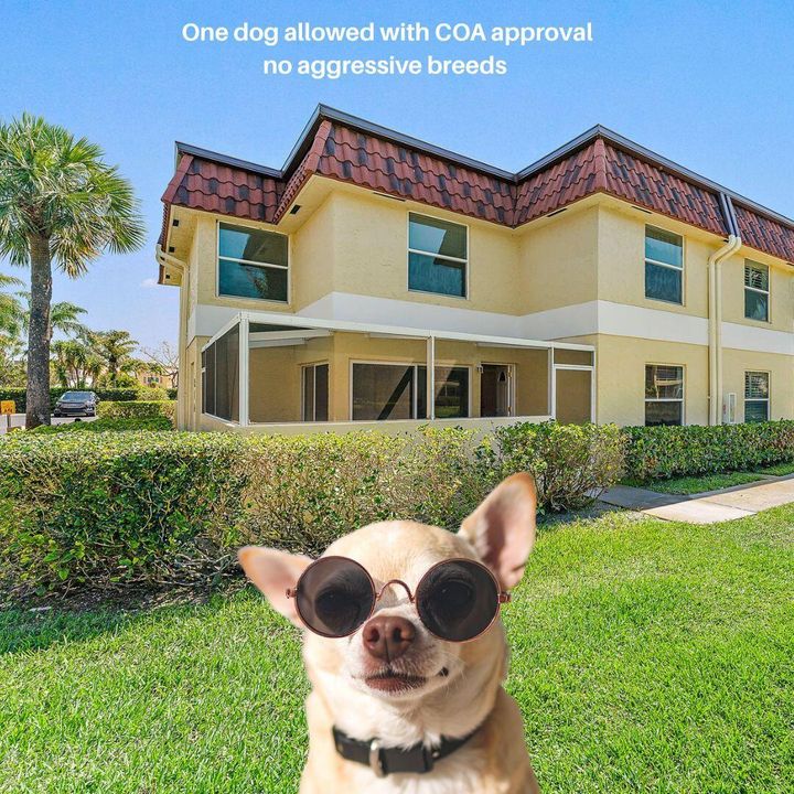 Dog Friendly