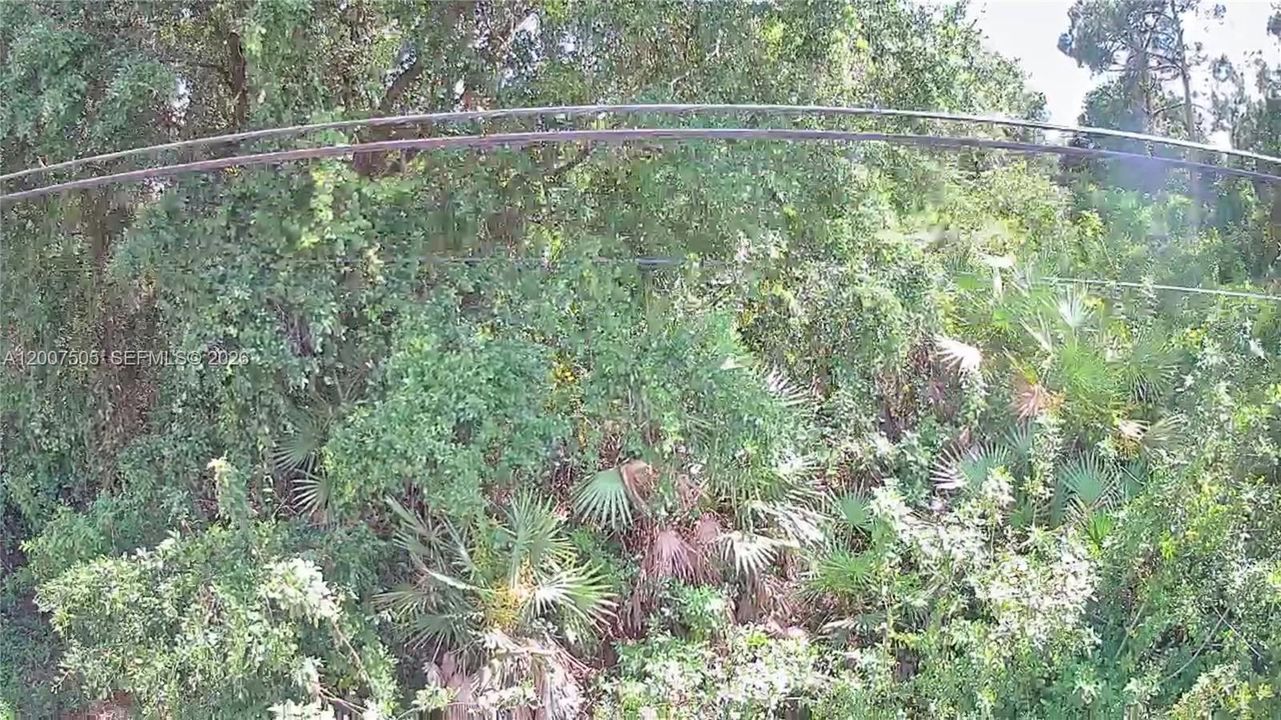 En Venta: $31,500 (0.25 acres)