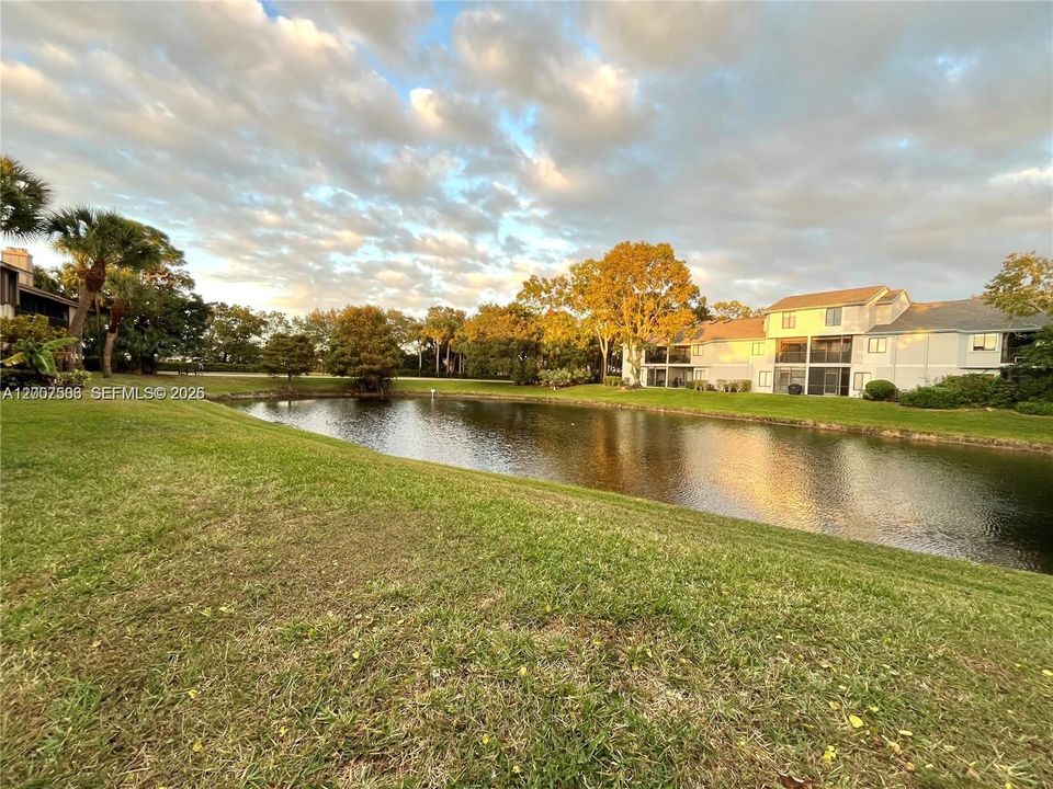 Activo con contrato: $315,000 (3 camas, 2 baños, 1298 Pies cuadrados)