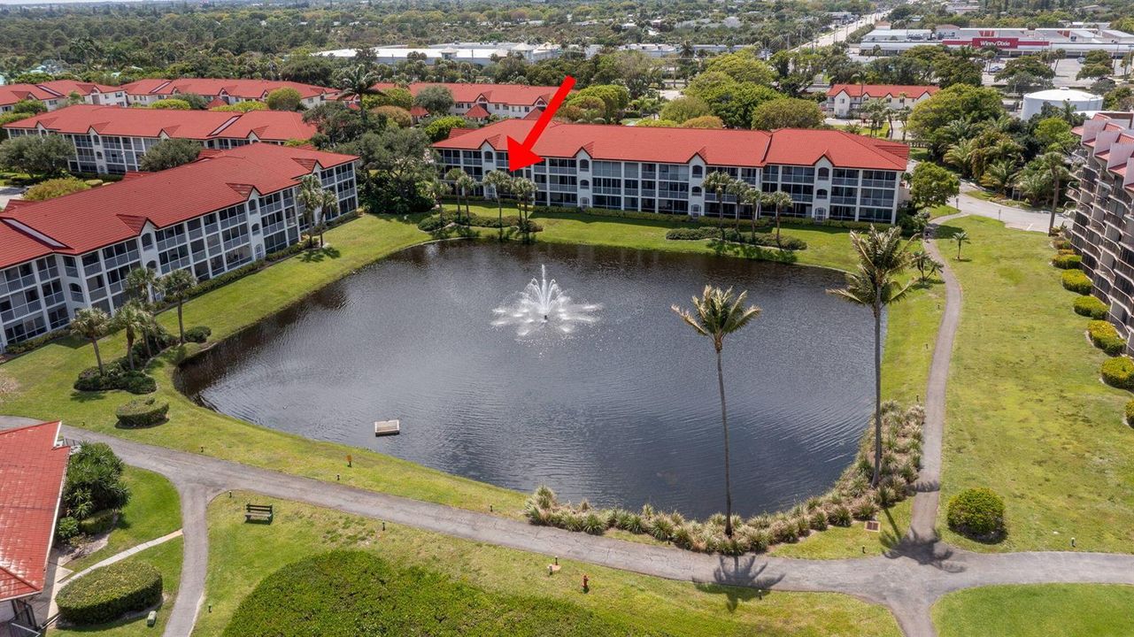Location on Pond