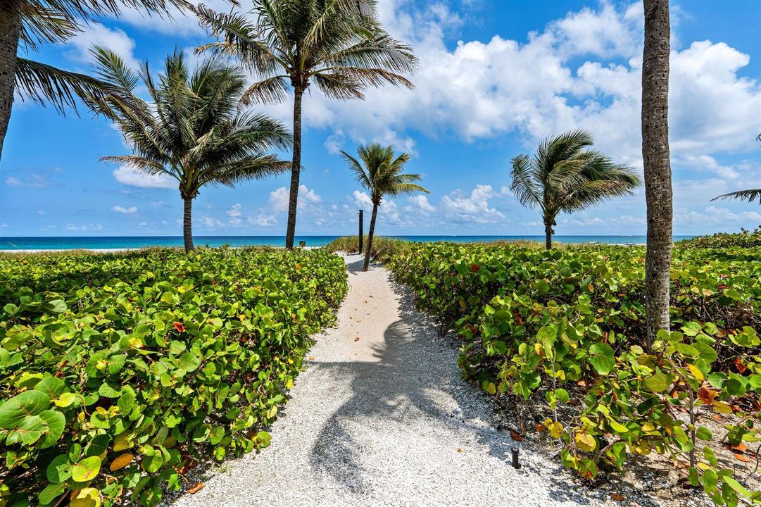 BEACH_PATHWAY_DT