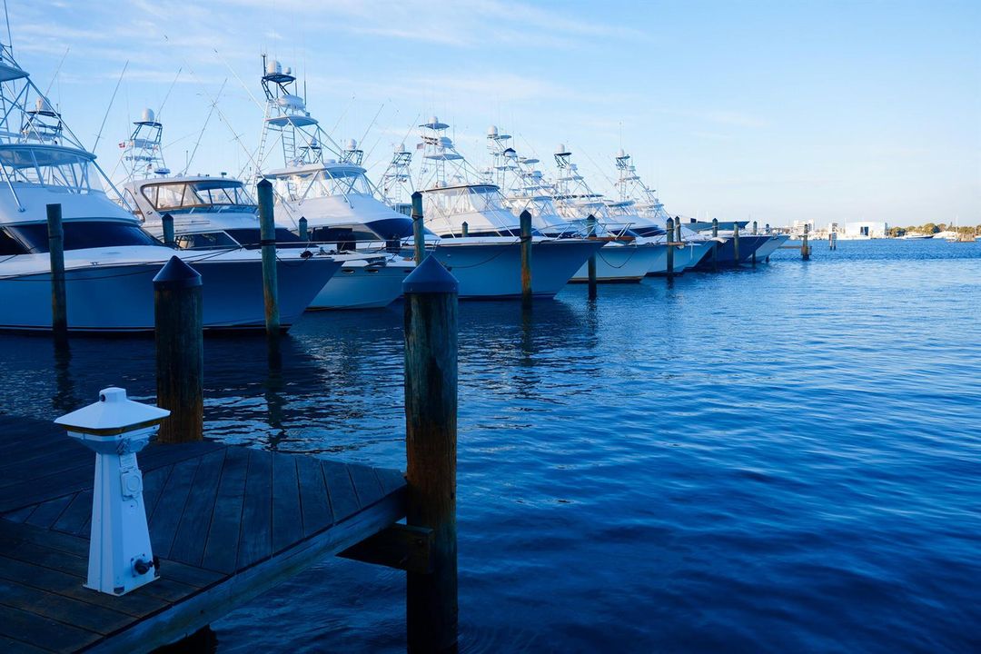 HAVN_Marina_DSC02090