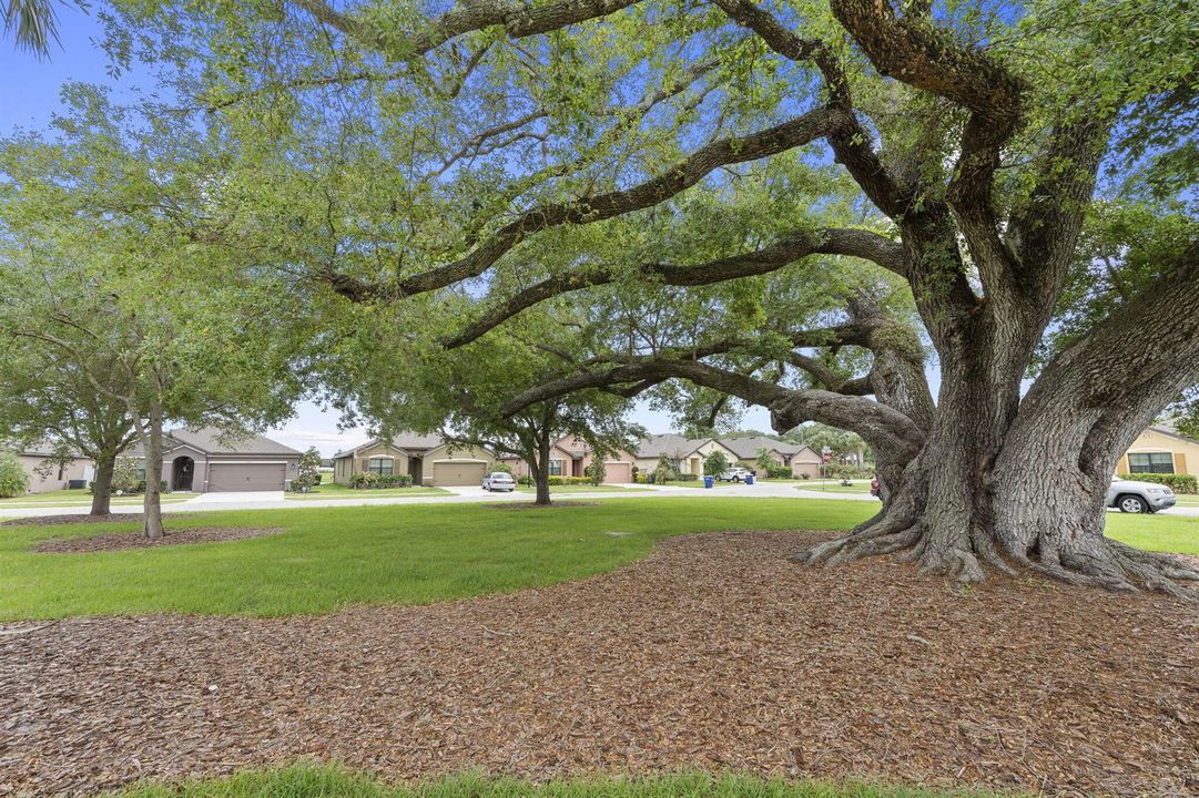 22-web-or-mls-DSC06065