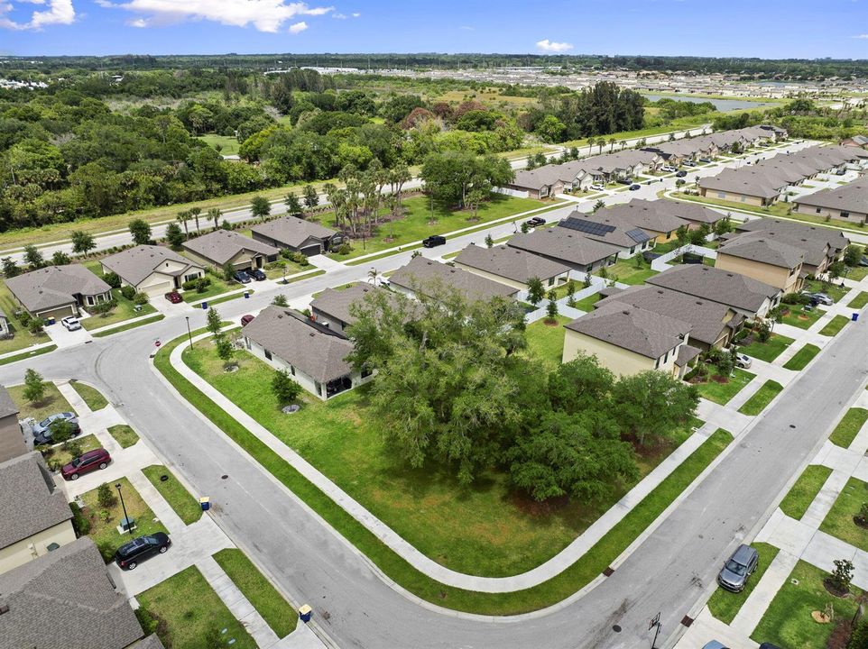 10-web-or-mls-DJI_0320