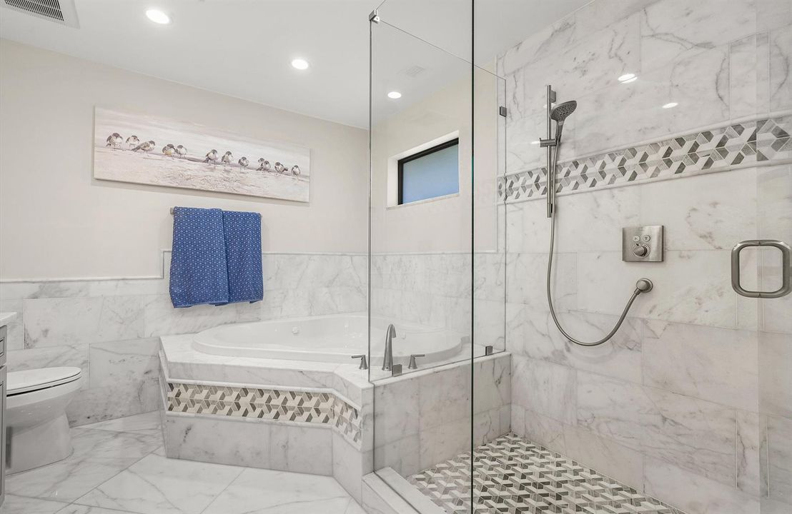 Master shower and bath