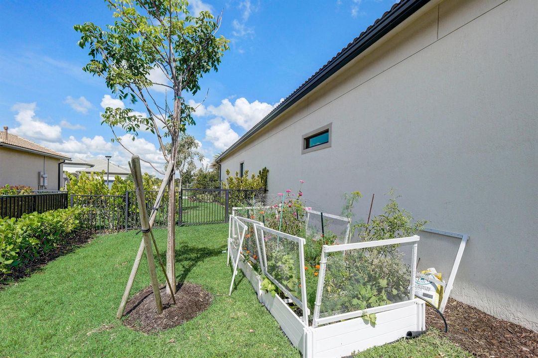 Balsamo Dr-045