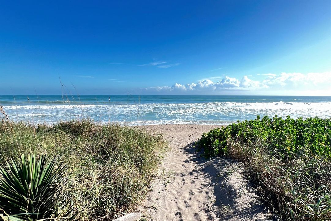 Ocean1