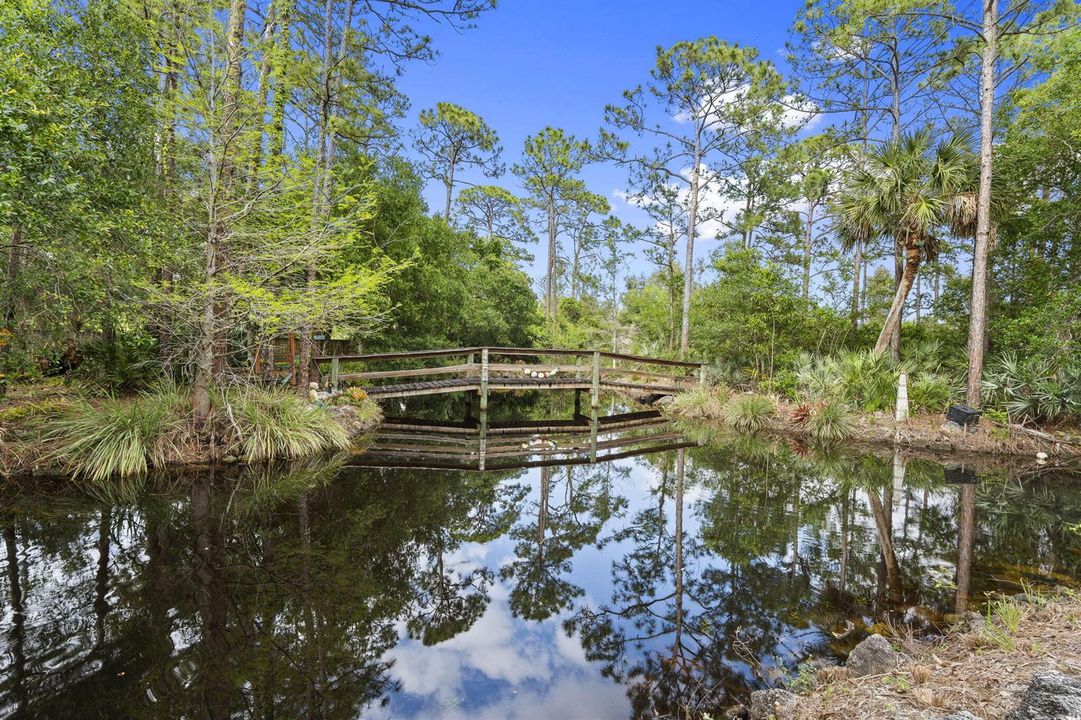 Pond