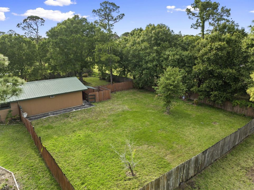 Rear Yard
