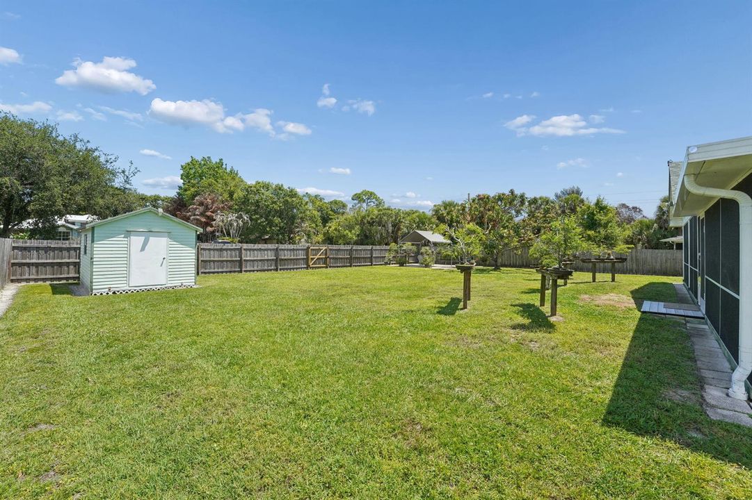 Backyard