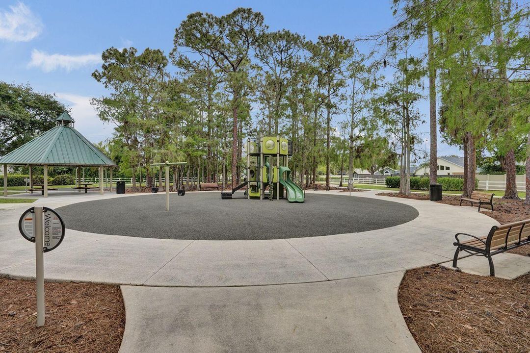 Neighborhood Park Playground