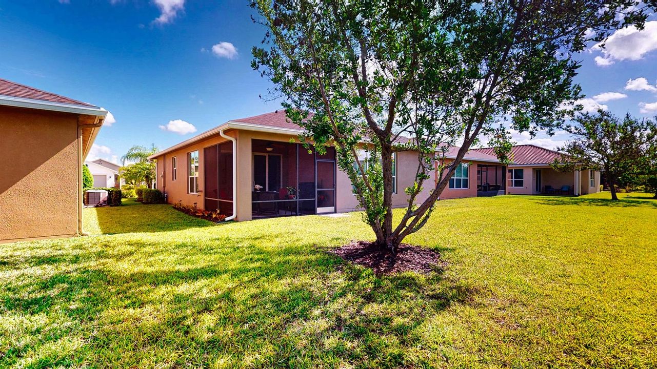 12451-SW-Weeping-Willow-04272026_070006